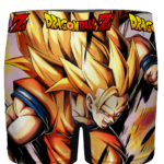 Dragon Ball Z Super Saiyan 3 Goku Dope Men's Underwear - back
