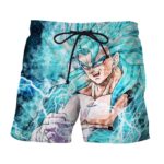 Dragon Ball Vegito 4 Blue Super Saiyan Kaioken Cool Boardshorts