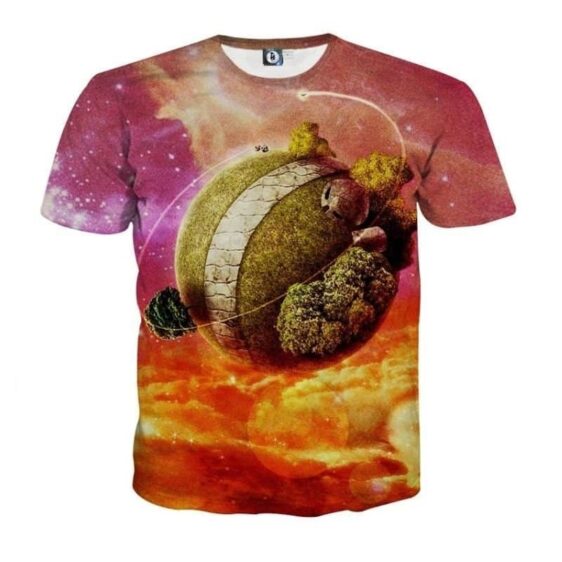 Dragon Ball Z Great King Kai Planet Cool Orange T-Shirt