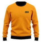 Dragon Ball Z Kame Logo Minimalistic Wool Sweatshirt